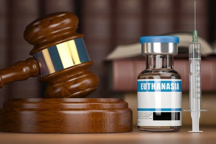France has passed a law on euthanasia for the terminally ill