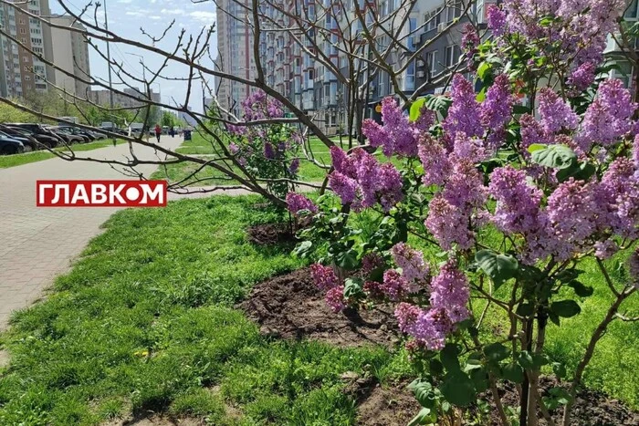 Український прогноз погоди на 11 травня