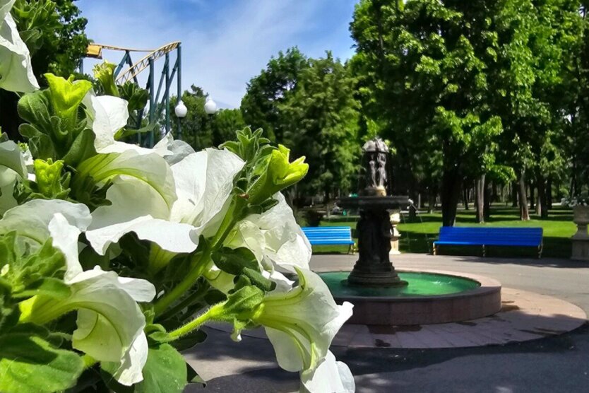 Atmospheric front is coming: Ukraine will be hit by a heat wave up to +32